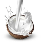 25kg Coconut Food Flavouring Essence Concentrate Liquid For  Beverage Drinks Halal